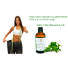 Olej z Bluszczu - 100ml  Regeneruje, Ujędrnia, Cellulit